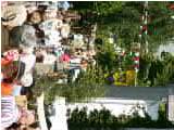PICT0068.jpg